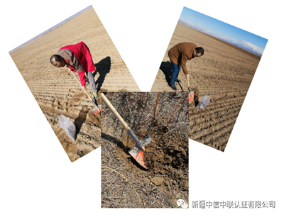 1587371786641558.png 8.png