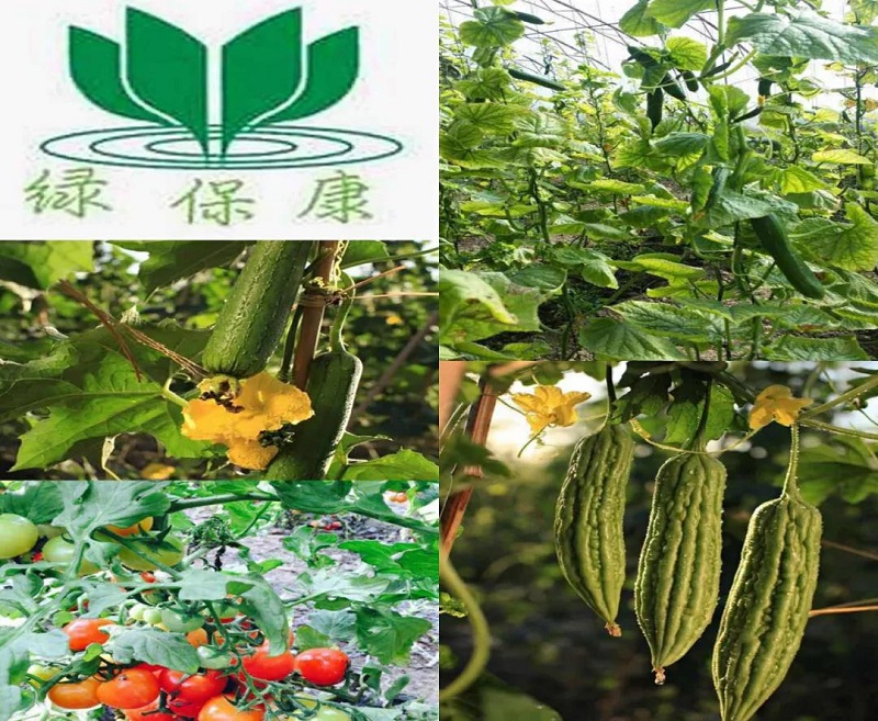 1623065134781509.jpg 微信圖片_20210607191330.jpg