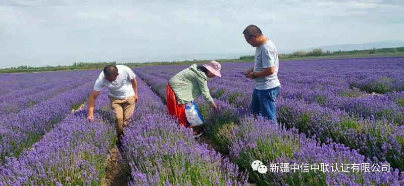 1626345435739253.jpg 微信圖片_20210715182638.jpg