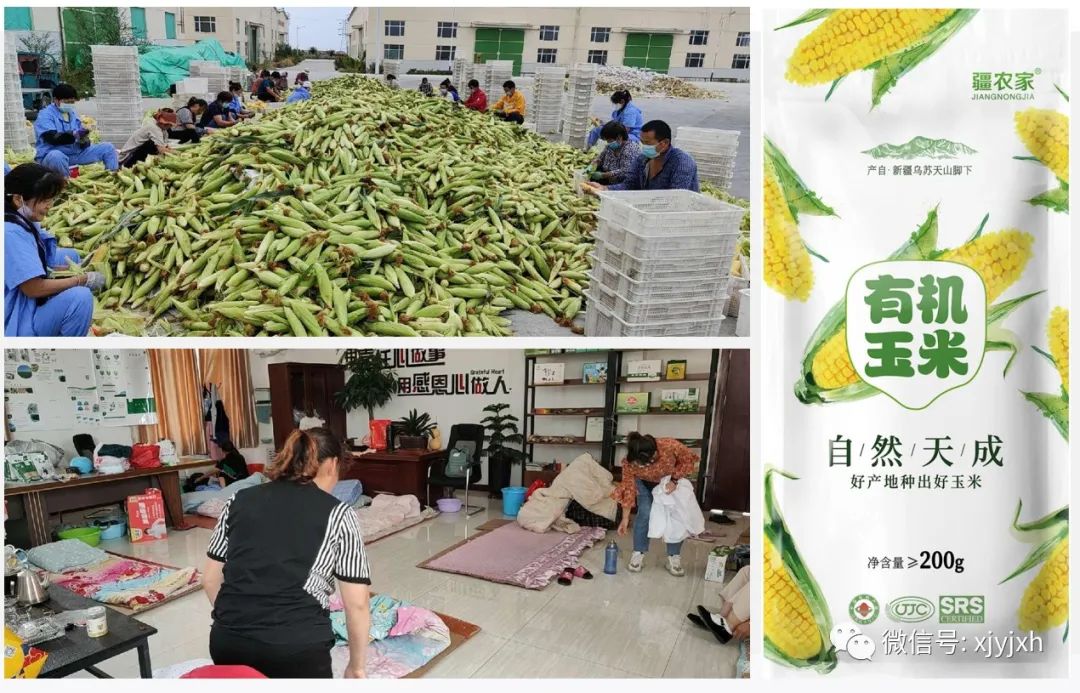 1662437967457516.jpg 7.jpg