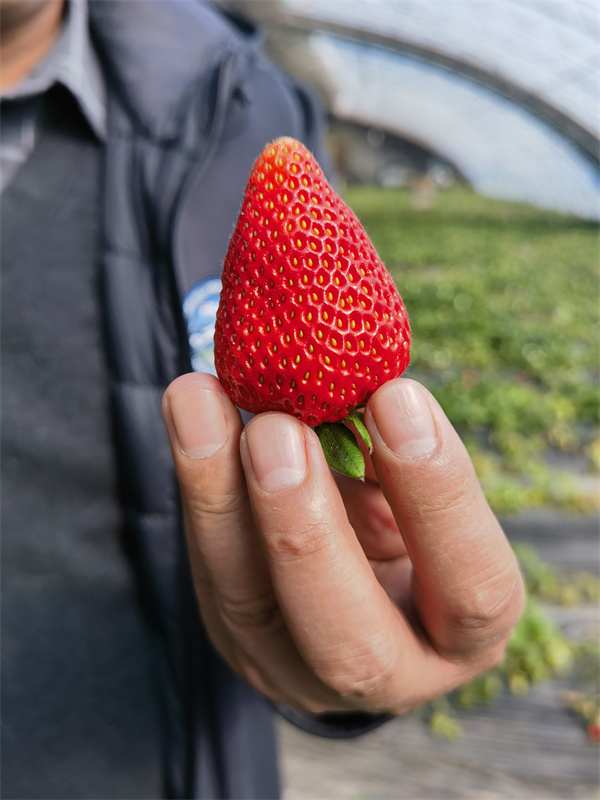 1679652692929554.jpg 微信圖片_20230320112229.jpg