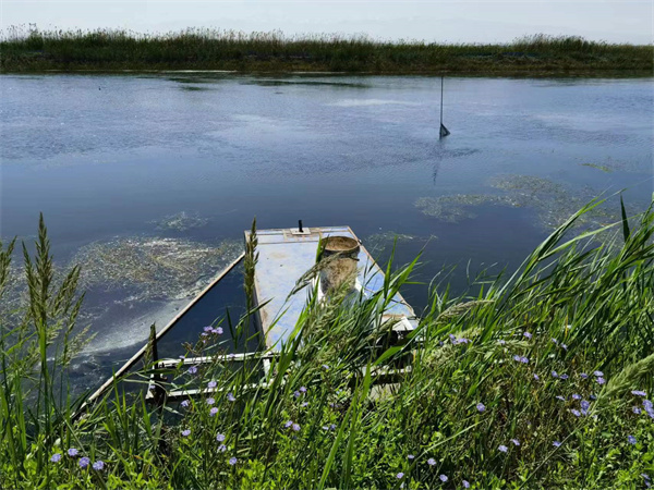 1690190668877215.jpg 圖2.jpg