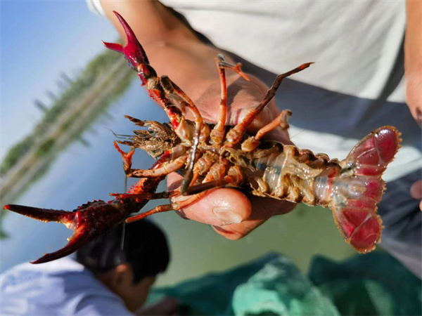 1690190681673733.jpg 圖4.jpg