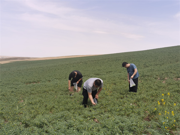 1691749205862474.jpg 圖3.jpg