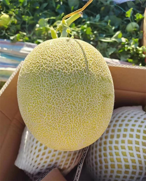 1692159326122445.png 圖3.png