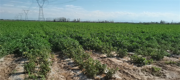 1692159333765674.jpg 圖4.jpg