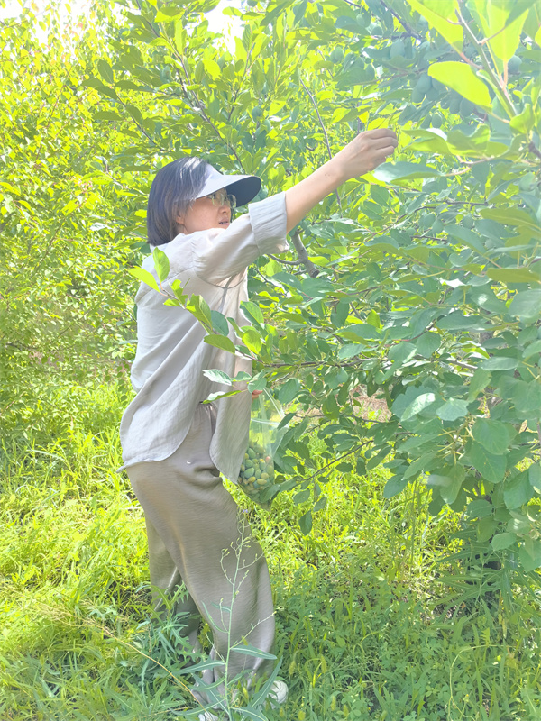 1721360944448628.jpg 圖3.jpg