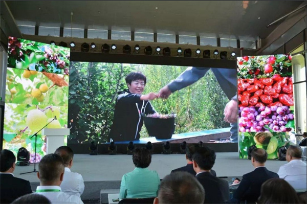 1721360962150223.jpg 圖5.jpg