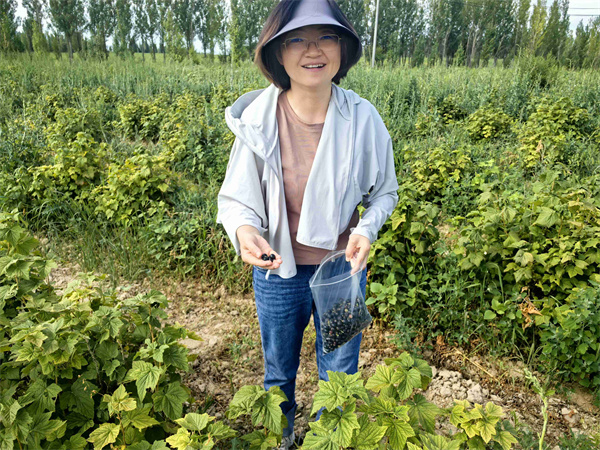 1722823892964176.jpg 圖4.jpg