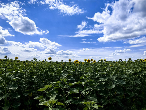 1726646356225421.jpg 圖2.jpg