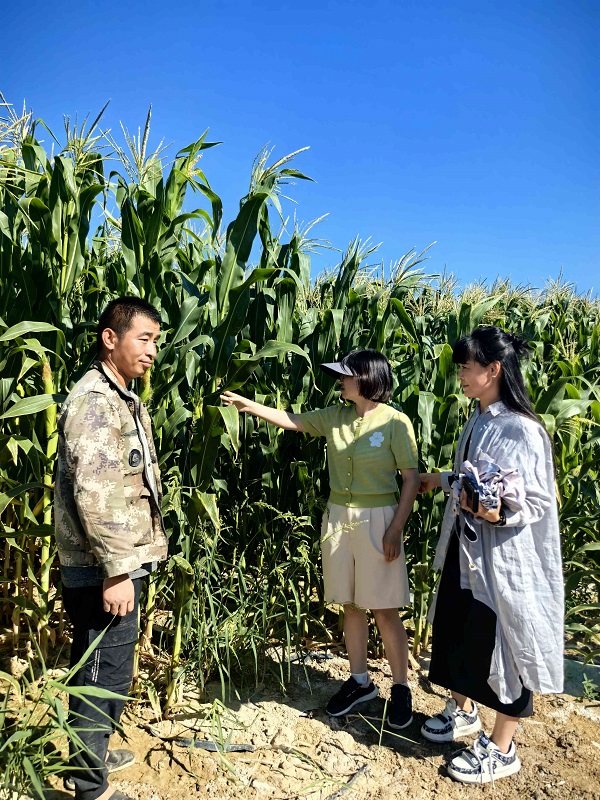 1729671076159180.jpg 20e3c81b829ff8fd07c231268e60add.jpg