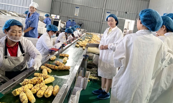 1729671132521169.jpg c52b0811f5c3559bd2e8e265440dac9.jpg