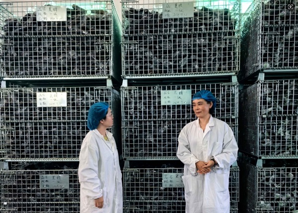 1729671157672885.jpg da8ab64929816e36bd7d52ab0ff50ed.jpg