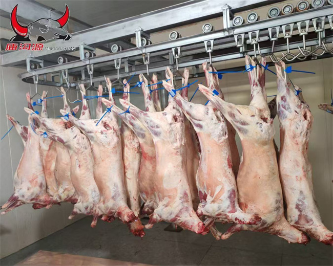 1757327145671731.jpg 產(chǎn)品2.jpg